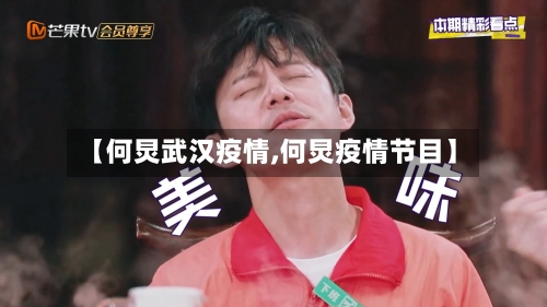 【何炅武汉疫情,何炅疫情节目】-第1张图片