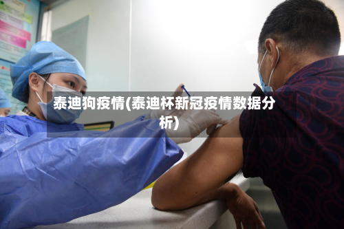 泰迪狗疫情(泰迪杯新冠疫情数据分析)-第1张图片