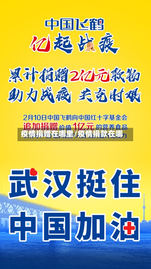 疫情捐赠在哪里/疫情捐款在哪-第3张图片