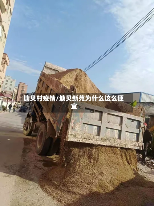 塘贝村疫情/塘贝新苑为什么这么便宜-第1张图片