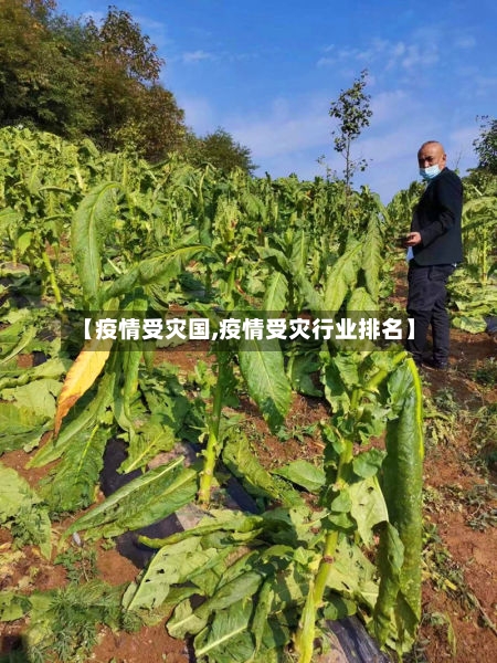【疫情受灾国,疫情受灾行业排名】-第1张图片