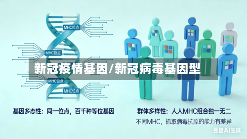 新冠疫情基因/新冠病毒基因型-第1张图片