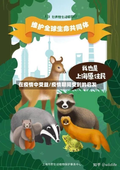 在疫情中受益/疫情期间受到的启发-第1张图片