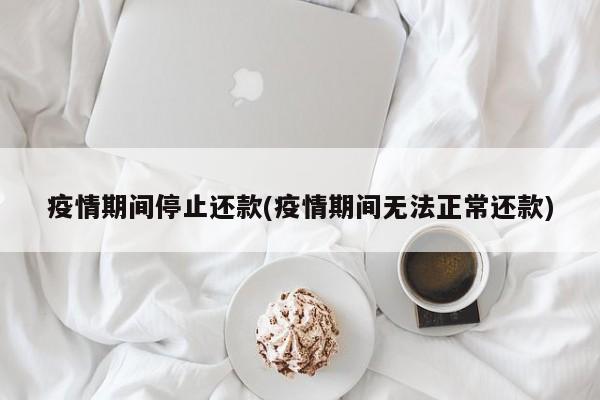 疫情期间停止还款(疫情期间无法正常还款)